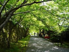 -三千院