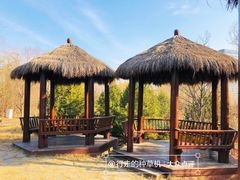 -莲花池公园
