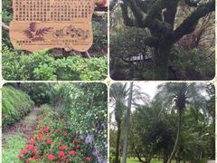 -台北101
