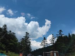 -武陵山森林公园