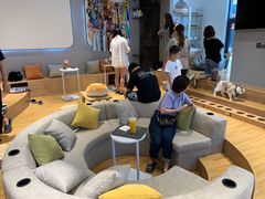 -啵啵喵·猫咖(攀华国际店)
