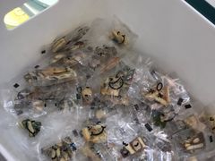 -小半有礼(天河南店)