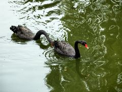 -天毓山庄·餐厅