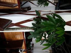 android_upload_pic-新加坡泛太平洋酒店