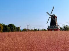 -羊亭河湿地公园