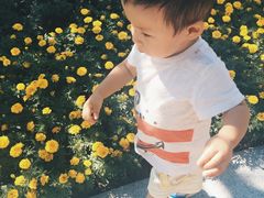 -武清南湖绿博园