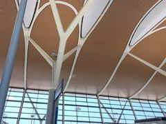 -上海浦东国际机场-T2航站楼