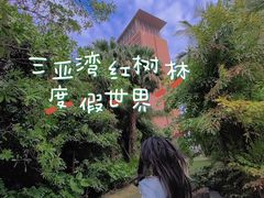 -三亚湾红树林度假世界(木棉酒店)