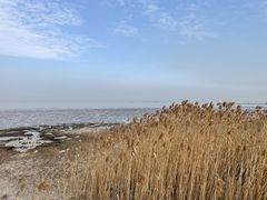 -上海吴淞炮台湾国家湿地公园