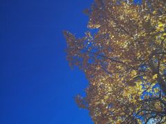 -苏州青少年科技馆