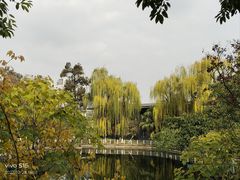 -塔子山公园