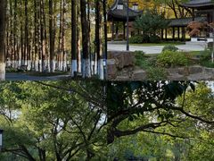 -范蠡湖公园
