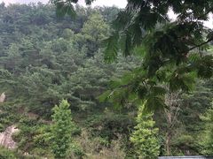 -海阳地雷战旅游区