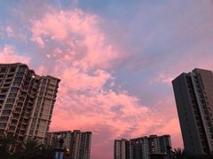 -南国锋味椰子鸡(瀚海店)