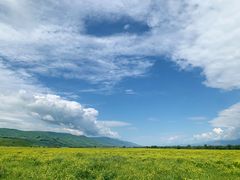 -新疆那拉提国家旅游度假区