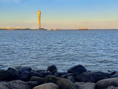 -上海吴淞炮台湾国家湿地公园