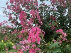 -小昆山驾校·基地自营(松江大学城实体店)