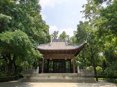 -汇龙潭