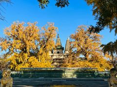 -北京石刻艺术博物馆(五塔寺)