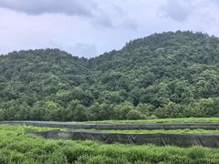 -中国茶叶博物馆(双峰馆区)