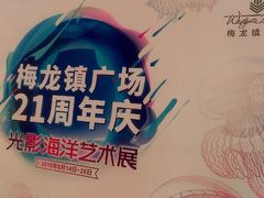 -梅龙镇广场