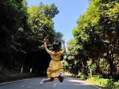 -铁山坪森林公园