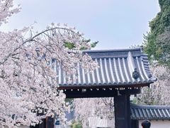 -醍醐寺
