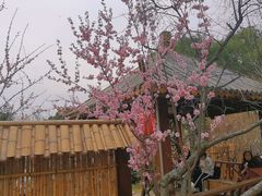 -无锡梅园公园
