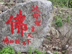 -天女山森林公园