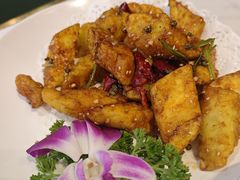 -刘胖子家常菜·蹄花焖藕(中南店)