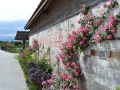 -金谷域澳洲庄园