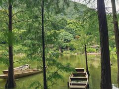 -深圳仙湖植物园