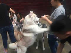 -TrueLove @ Neverland (Husky Cafe)