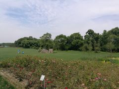 -昆山城市生态森林公园