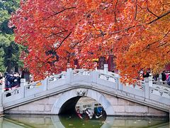 -香山公园