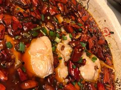 -陈麻婆豆腐总店