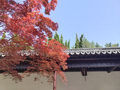 -苏州文庙(姑苏区)
