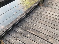 -长广溪湿地公园