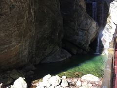 -牛背梁国家森林公园