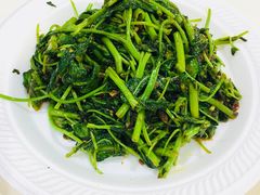 马来风光-纽顿熟食中心