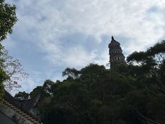 -顺峰山公园