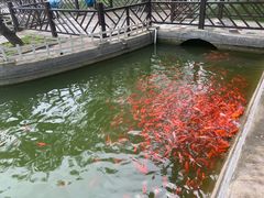 -河北村民俗体验园