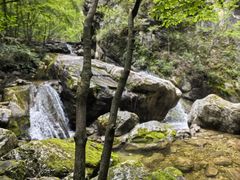 -牛背梁国家森林公园