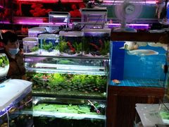 -双季花艺园艺市场(浦东店)