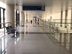 -首都医科大学附属北京天坛医院