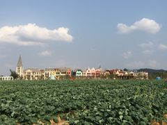 -美的鹭湖森林度假区