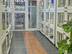 -青奢宠物·青奢猫舍