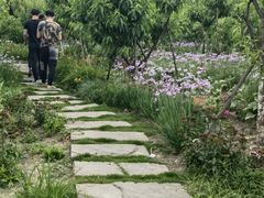 -洪湖家庭农场·团建·露营·会议