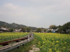 -红山村