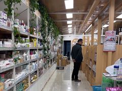 -中国农业大学动物医院